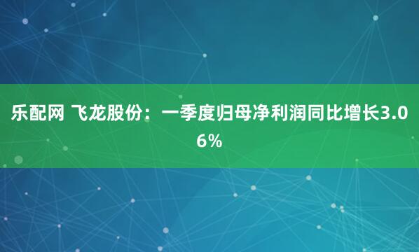 乐配网 飞龙股份：一季度归母净利润同比增长3.06%