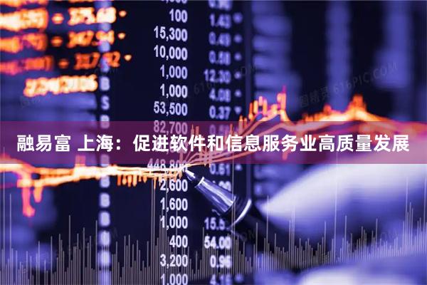 融易富 上海：促进软件和信息服务业高质量发展