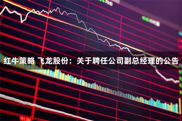 红牛策略 飞龙股份：关于聘任公司副总经理的公告